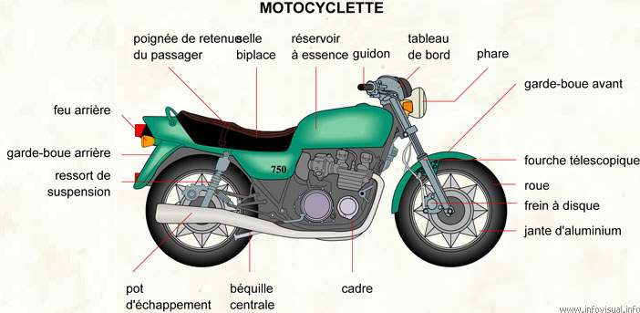 Motocyclette (Dictionnaire Visuel)